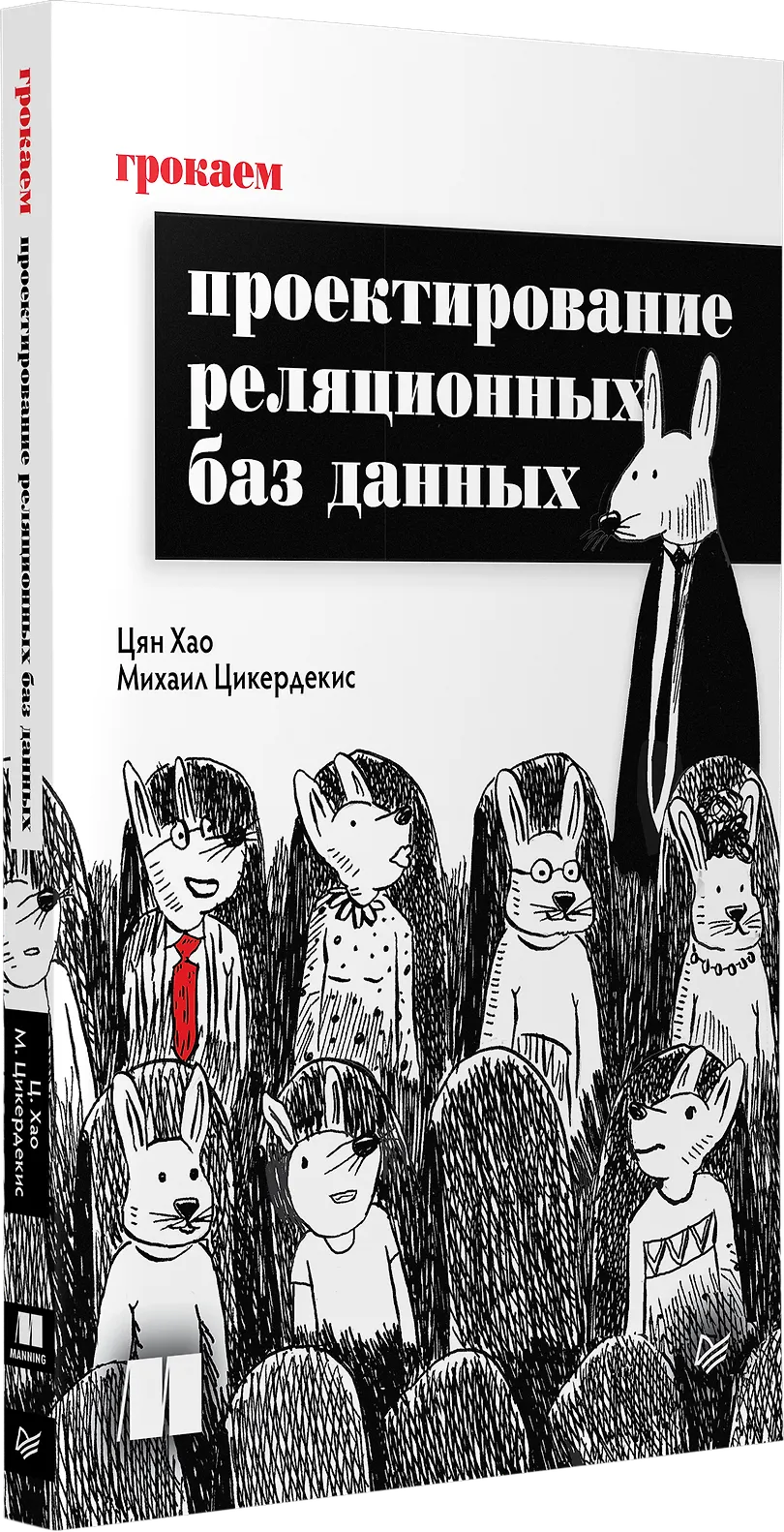 Грокаем проектирование реляционных баз данных фото книги маленькое 3