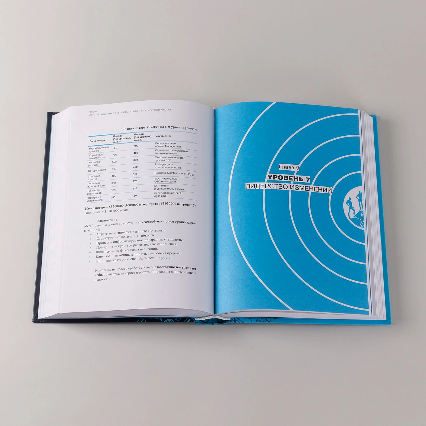 Организационная зрелость и управление кризисами. Как компания становится системой фото книги маленькое 4
