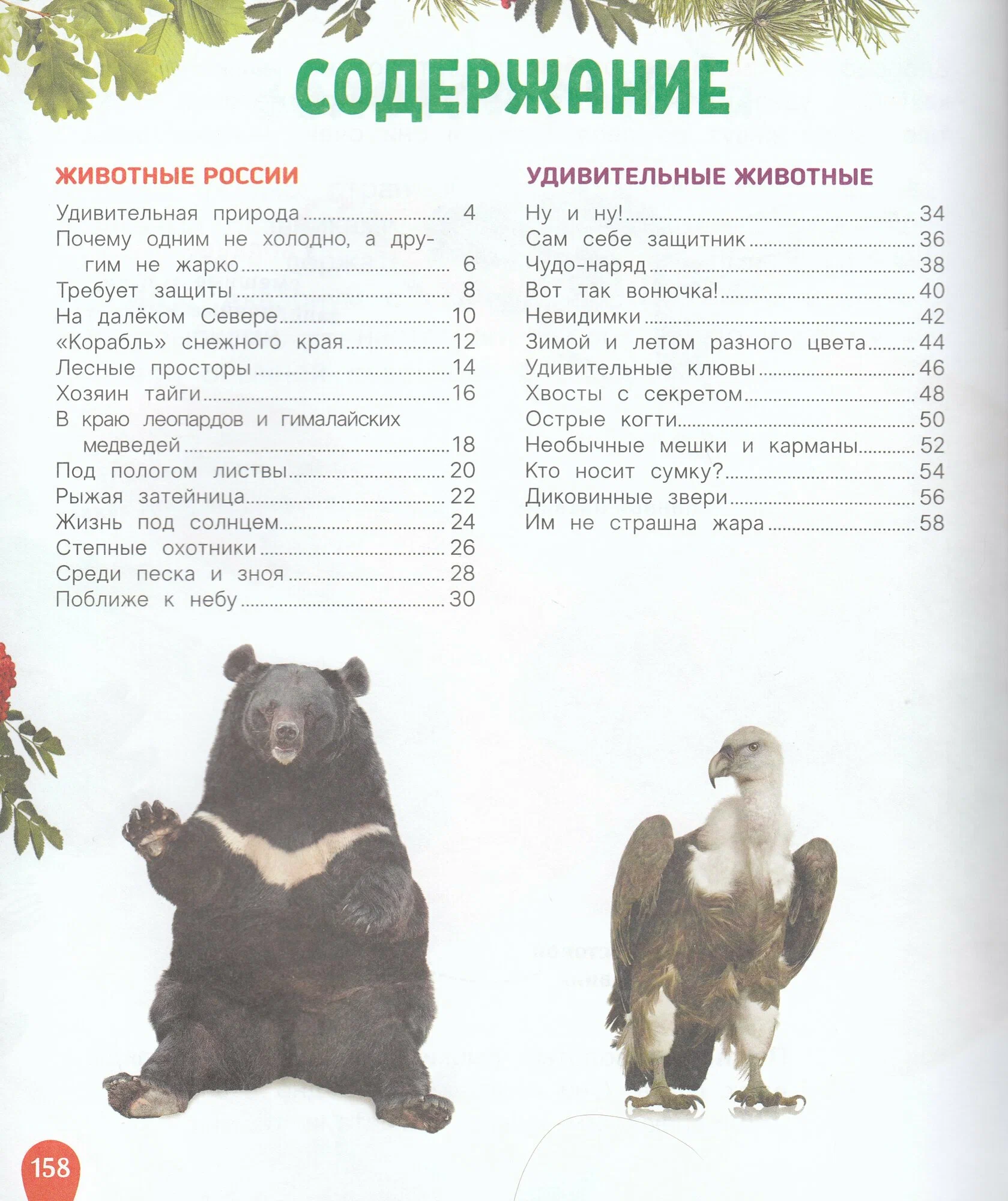 Животные. Лучшая детская энциклопедия фото книги маленькое 5