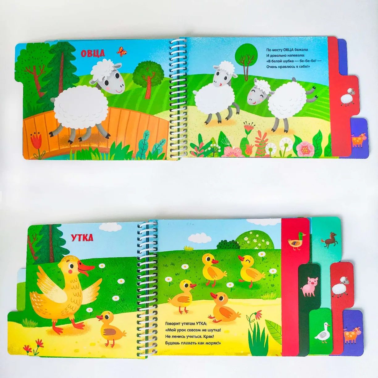 Первые шаги. Формы фото книги маленькое 6