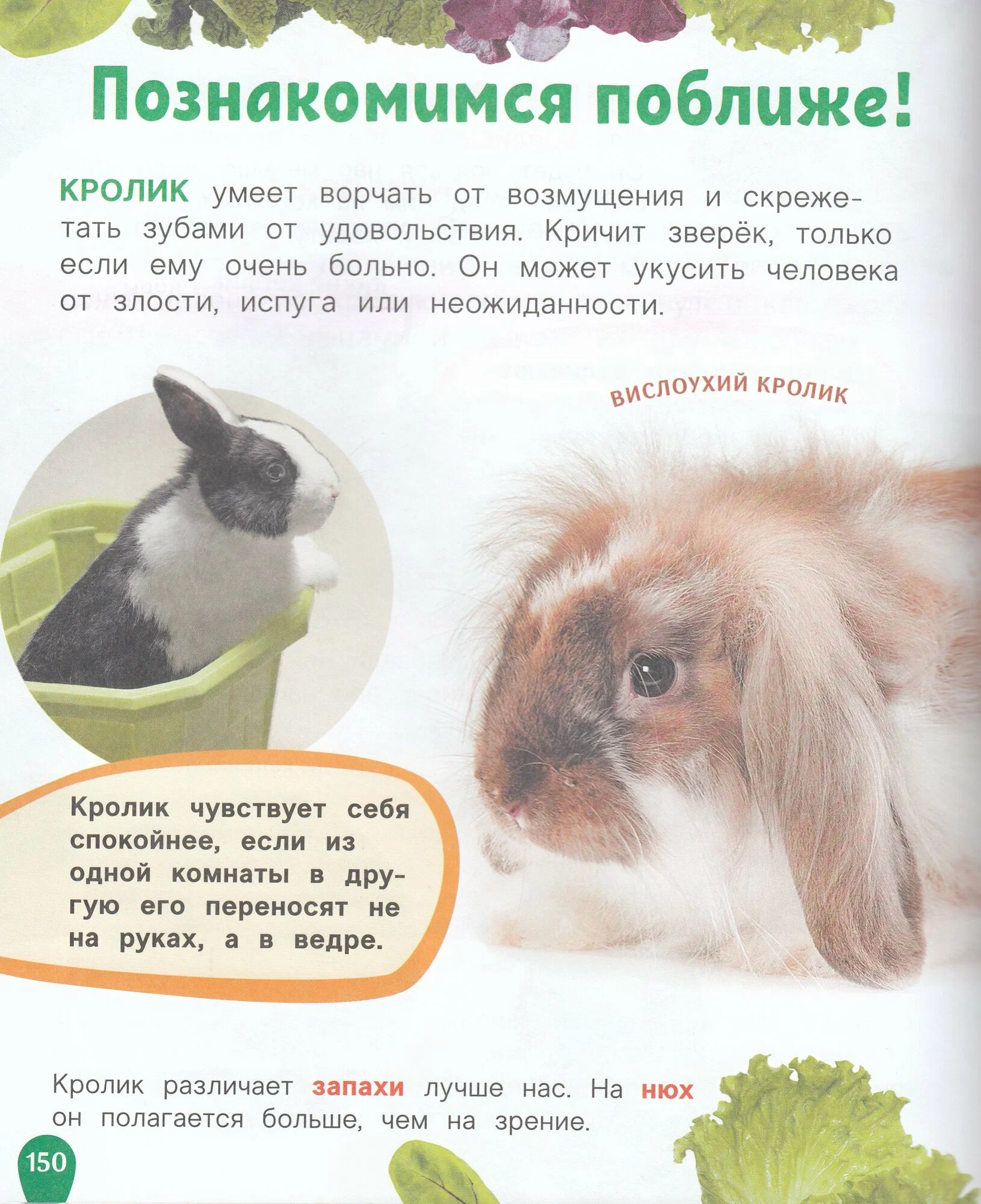 Животные. Лучшая детская энциклопедия фото книги маленькое 4