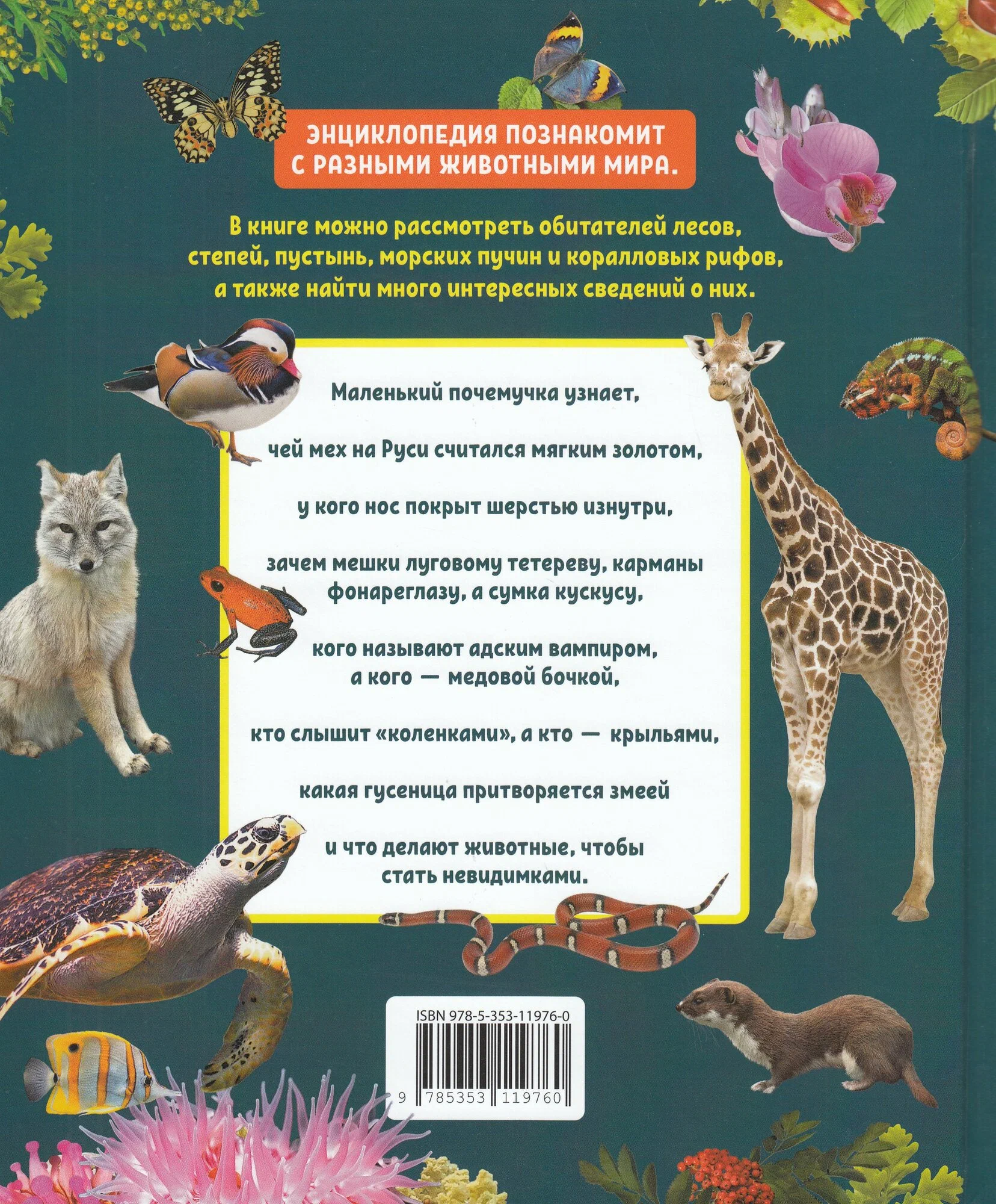 Животные. Лучшая детская энциклопедия фото книги маленькое 8