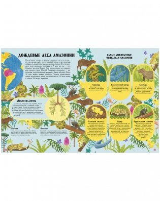 Большая энциклопедия CLEVER. Удивительные животные и где они обитают фото книги 6