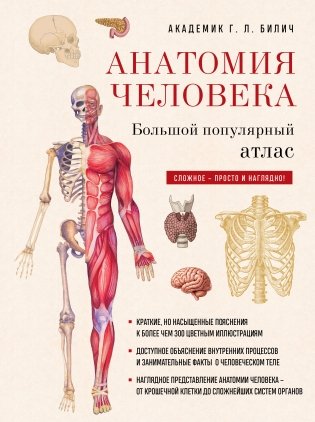 Анатомия человека: большой популярный атлас (новое оформление) фото книги