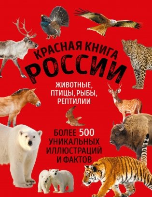 Красная книга России. Большой формат. Более 500 уникальных иллюстраций и фактов (новое издание) (основной) фото книги