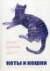 Коты и Кошки. Заметки диванного натуралиста фото книги маленькое 2