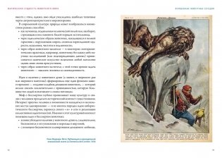 Магия трав и волшебный бестиарий. Сборный комплект из 2-х книг с шоппером фото книги 8
