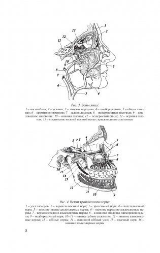 Травмы и восстановительная хирургия челюстно-лицевой области фото книги 9
