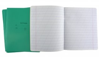 Тетрадь школьная "Отличная. Зеленая", А5, косая линия, 12 листов фото книги 4