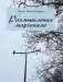Размышления маргинала фото книги маленькое 2