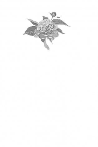 Время перемен фото книги 2