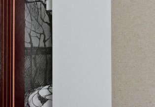 Белый картон "Беседка", А4, 10 листов фото книги 2