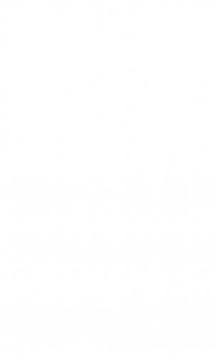 Алая гроздь турмалина фото книги 7