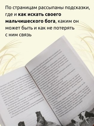 В поисках мальчишеского бога (мягкая обложка) фото книги 3
