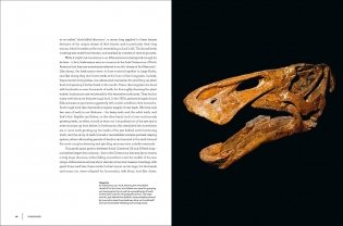 Dinosaurs фото книги 13