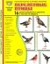 Перелетные птицы. 16 демонстрационных картинок с текстом на обороте фото книги маленькое 2