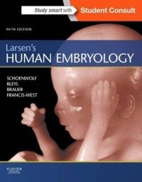 Larsen's Human Embryology фото книги