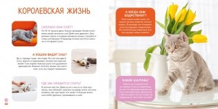 Моя первая книга о животных. 200 фотографий фото книги 7