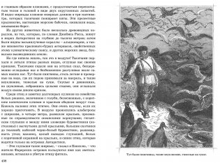 Двадцать тысяч лье под водой фото книги 5