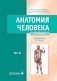 Анатомия человека: Учебник: в 2 т. Т. 2 фото книги маленькое 2