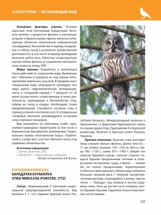 Красная книга Республики Беларусь. Животные фото книги 9