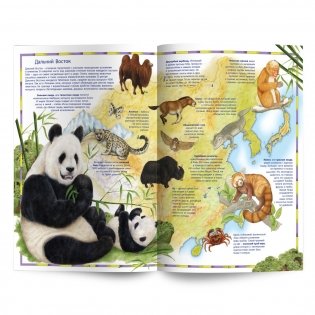 Первый атлас для детей. Животные мира фото книги 4