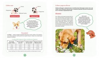 Я и моя собака. Как понять питомца и стать ему другом фото книги 6