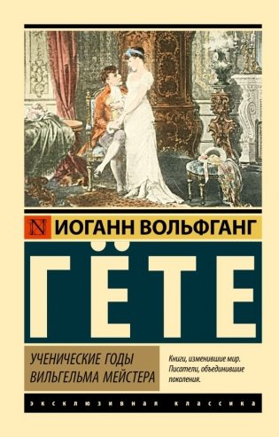 Ученические годы Вильгельма Мейстера фото книги