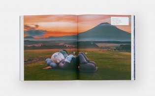 Kaws фото книги 8