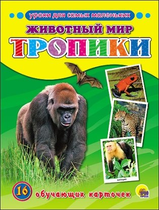 Обучающие карточки. Животный мир. Тропики фото книги