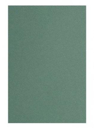 Картон цветной тонированный, 297x420 мм, 50 листов (зеленый) фото книги