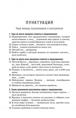 Русский язык. Тематический тестовый тренажер фото книги 10