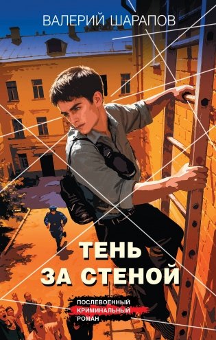 Тень за стеной фото книги
