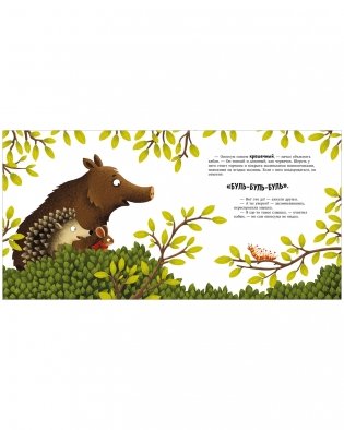 Книжки-картинки. Кто такой опоссум? фото книги 4