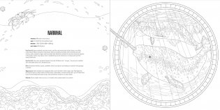 Animals Coloring Book Box Set фото книги 12