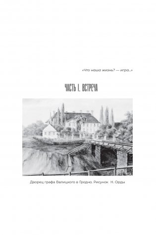 Граф Валицкий. Своя игра. Роман фото книги 8