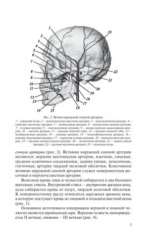 Травмы и восстановительная хирургия челюстно-лицевой области фото книги 8