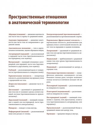 Анатомия спортивных травм фото книги 3