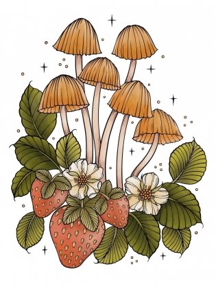 Creative Haven the Art of Mushrooms Coloring Book фото книги 4