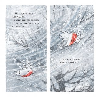 Сердце зимы фото книги 4