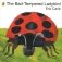 Bad-tempered Ladybird фото книги маленькое 2