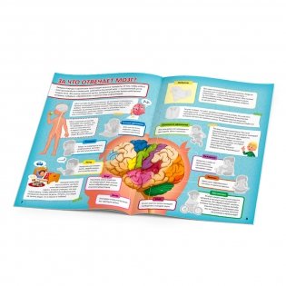 Атлас с наклейками. Тело человека фото книги 4