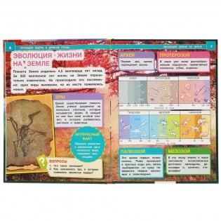 Летающие ящеры и древние птицы. Энциклопедия с развивающими заданиями фото книги 4