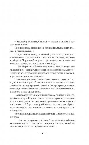 Ганфайтер фото книги 7