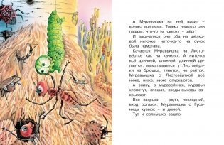 Как Муравьишка домой спешил. Сказки фото книги 6