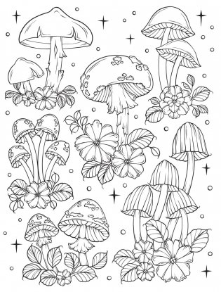 Creative Haven the Art of Mushrooms Coloring Book фото книги 5