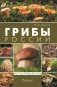 Грибы России. Фотоопределитель фото книги маленькое 2