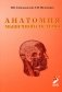 Анатомия мышечной системы (мышцы, фасции и топография): Учебное пособие. 14-е изд., перераб. и доп фото книги маленькое 2
