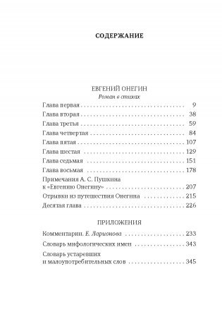 Евгений Онегин фото книги 2