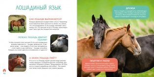 Моя первая книга о животных. 200 фотографий фото книги 10